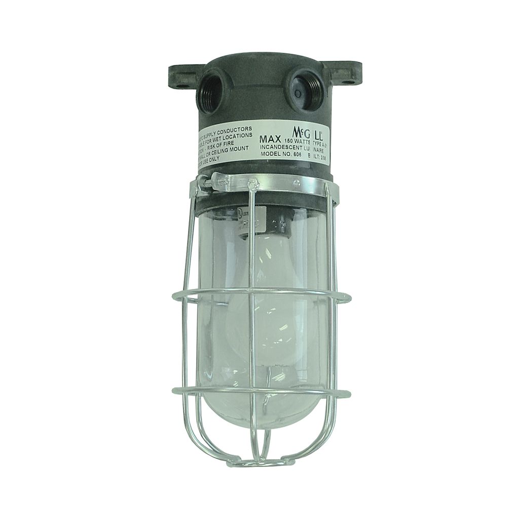 appleton-inc-utility-1-mcgill