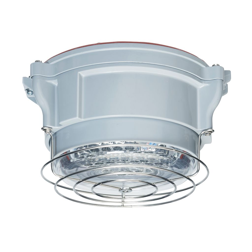 Appleton industrial contender led